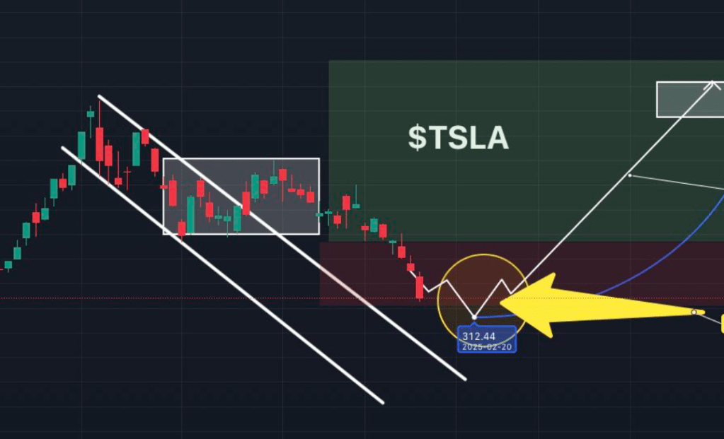 2025年2月12日加更：政治报复还是基本面垮塌？特斯拉暴跌破位，是时候抄底了吗？我的操作计划和止跌信号