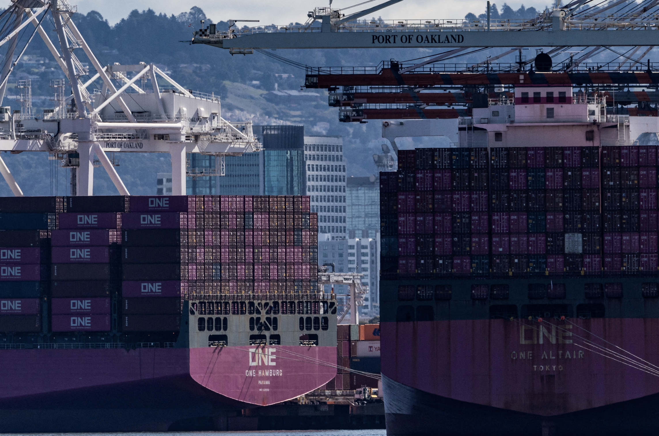 2025年3月23日周末特别篇：盘前异动，反弹开始，追涨还是做空？马斯克真正的政治风险；能不能死猫跳，最后的时间窗口就在这周