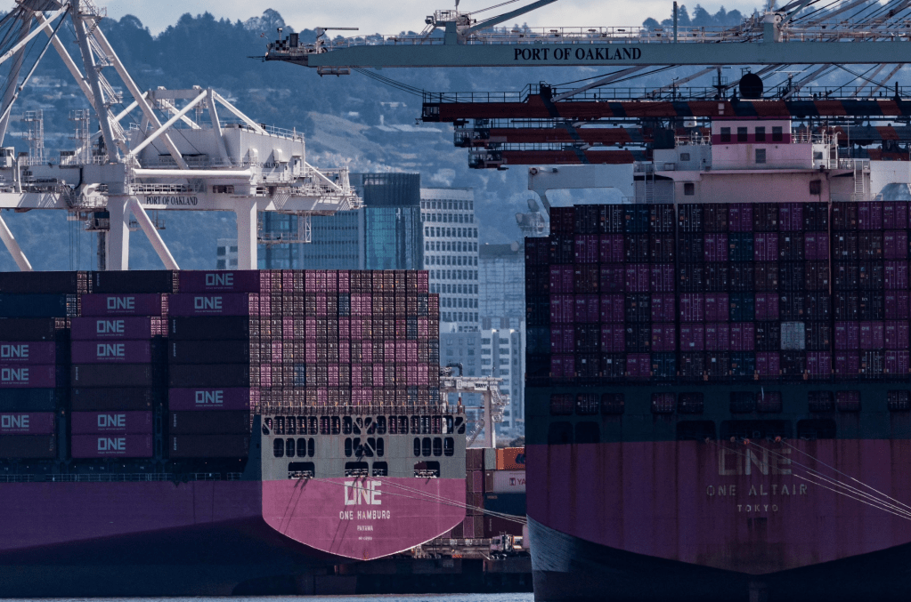 2025年3月23日周末特别篇：盘前异动，反弹开始，追涨还是做空？马斯克真正的政治风险；能不能死猫跳，最后的时间窗口就在这周